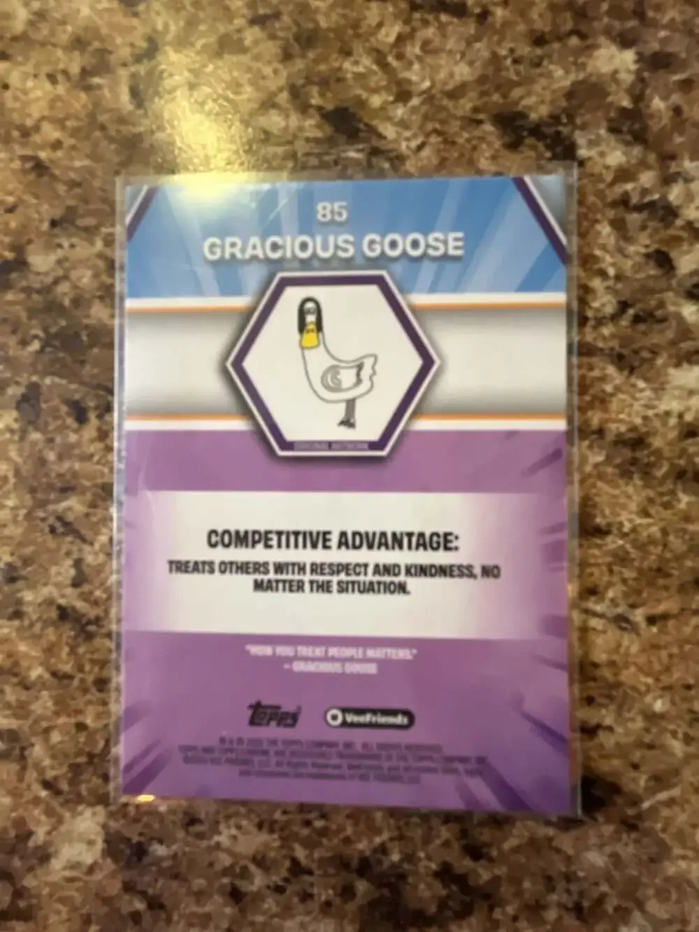 2026 Topps Chrome VeeFriends Gracious Goose #85 - Picture 2 of 3